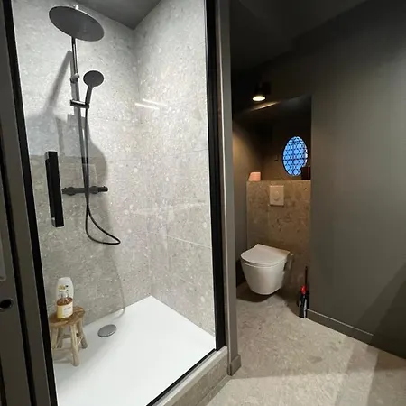 Lucas Ii 35 M2 Particulier Xvii Ieme Siècle Centre Historique Cathédrale Appartamento Clermont-Ferrand